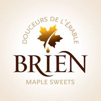 Brian Logo